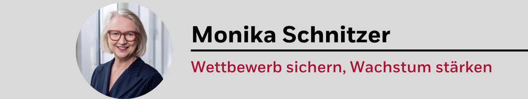 Rednerin Monika Schnitzer