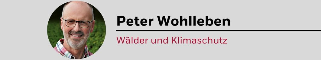 Peter Wohlleben Redner Nachhaltigkeit